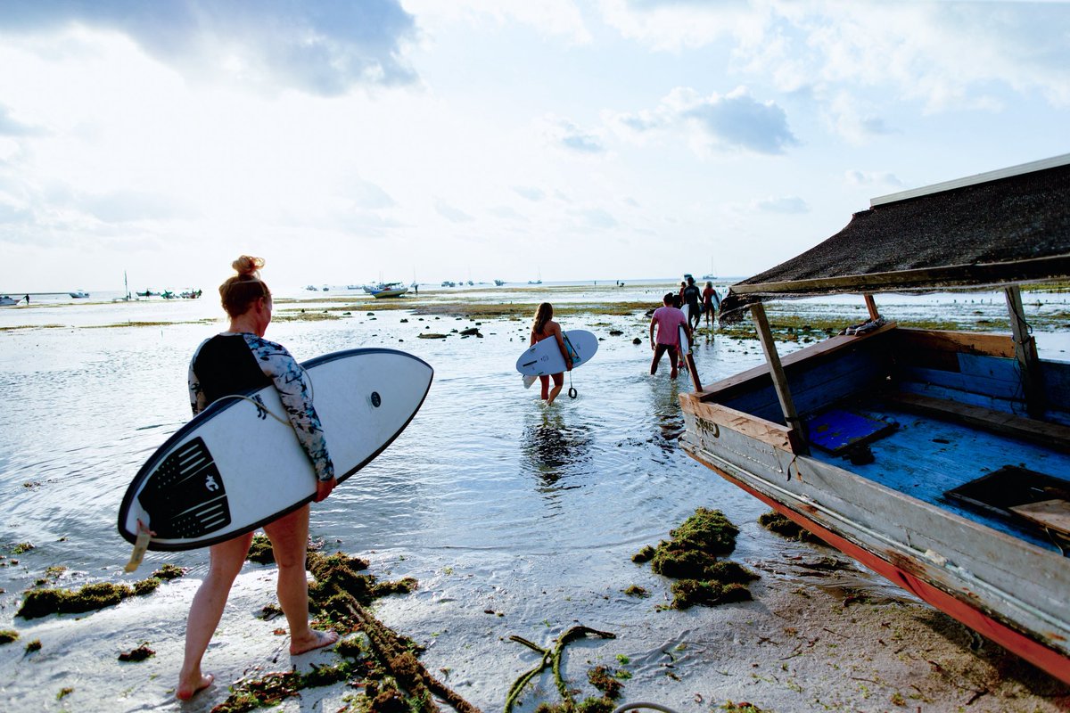 The ocean’s waves are calling your name, come and ride the waves of your dreams🌊🏝️🍃
🖇️ Book now link in bio !
✉️ Go to the mail if you have questions!!

#NemberalaabeachResort #rote #explorerote #surfing #indonesiahiddenparadise