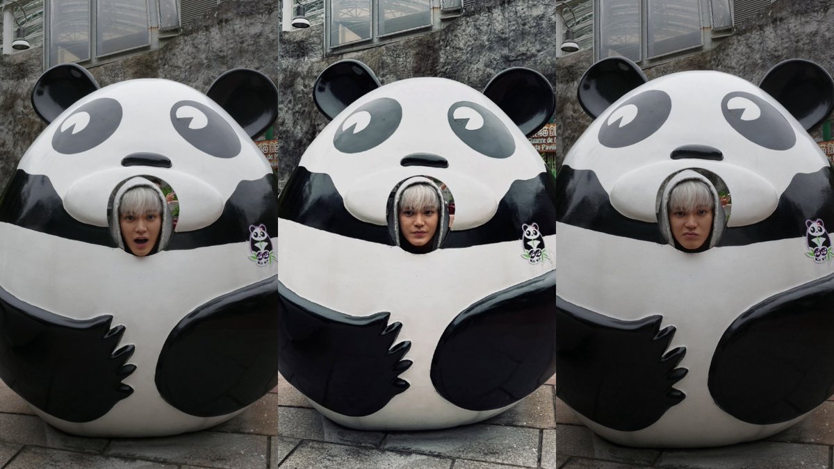Panda Taeyong different expressions🌹🐼

Weibo                      Instagram               Bubble