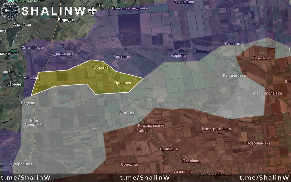 D.Radka, #NAFO 🇨🇿🤝🇺🇦 tweet media