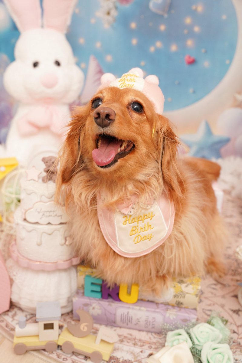 えるちん tweet media