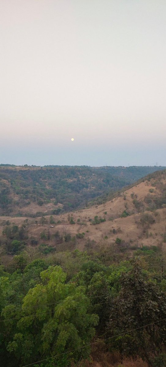 Shkforest1's tweet photo. @MahaForest One of the interesting events during Holi Purnima (full moon)

 Moon set 

at Sun set point Jawhar 

Today morning 👆🏽🙏🏽 https://t.co/vm8ozz6OkX