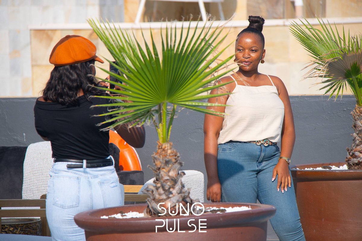 SUNO PULSE tweet media