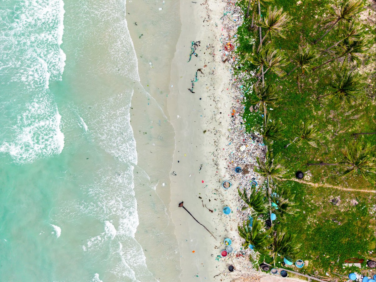 Sailors for the Sea tweet media