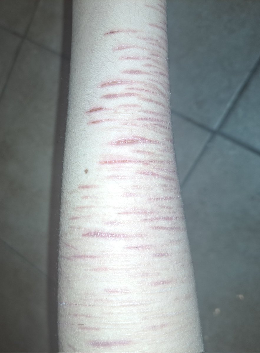 noah// sh(ed)twt tweet media