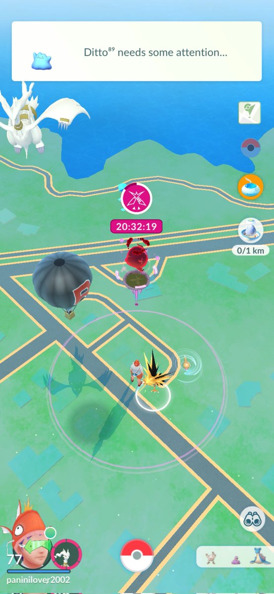 olly 🤠 tweet media