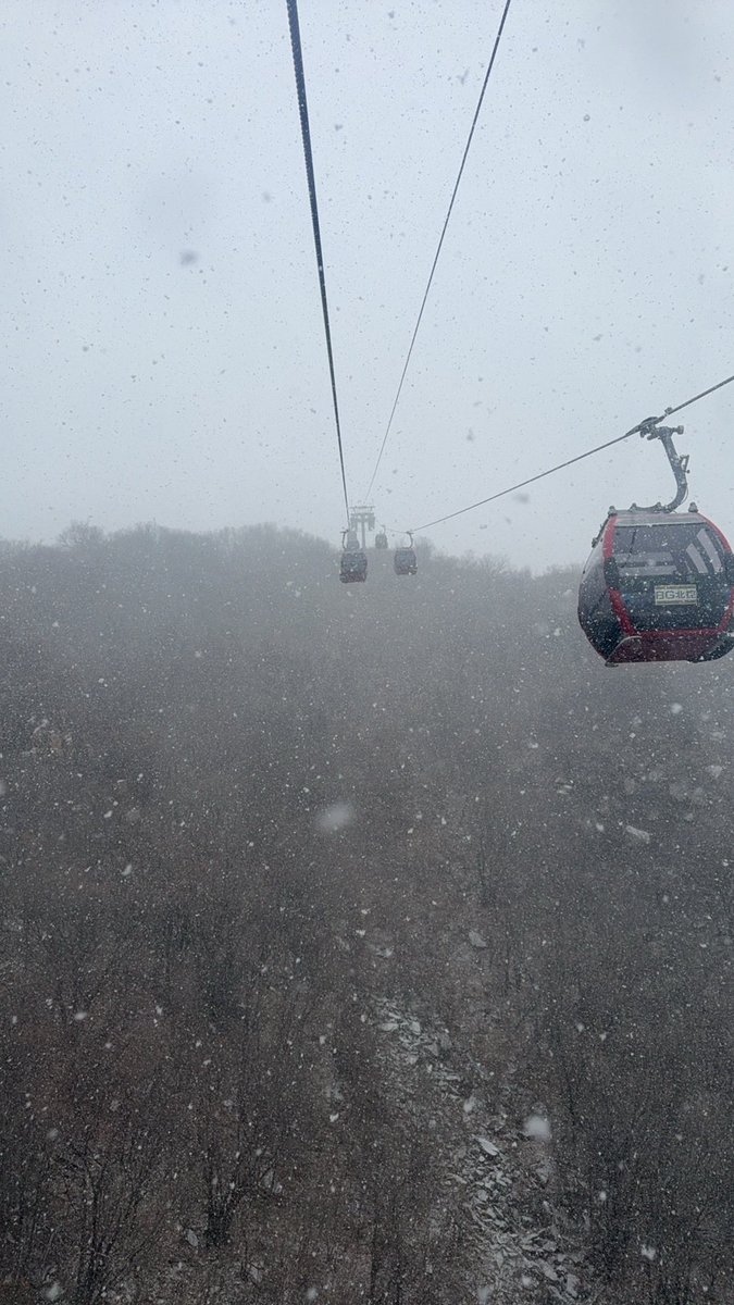 ku_jim's tweet photo. 到了山顶就开始飘雪，越下越大。崇礼据说要下近十来年最大的一场雪。 https://t.co/si0KQgiMMc