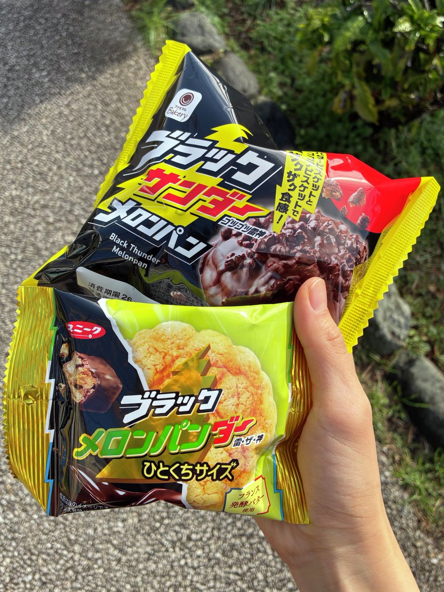 まずは”メロンパン”を！！！ 捕獲完了('-'*)⚡️ザクザク