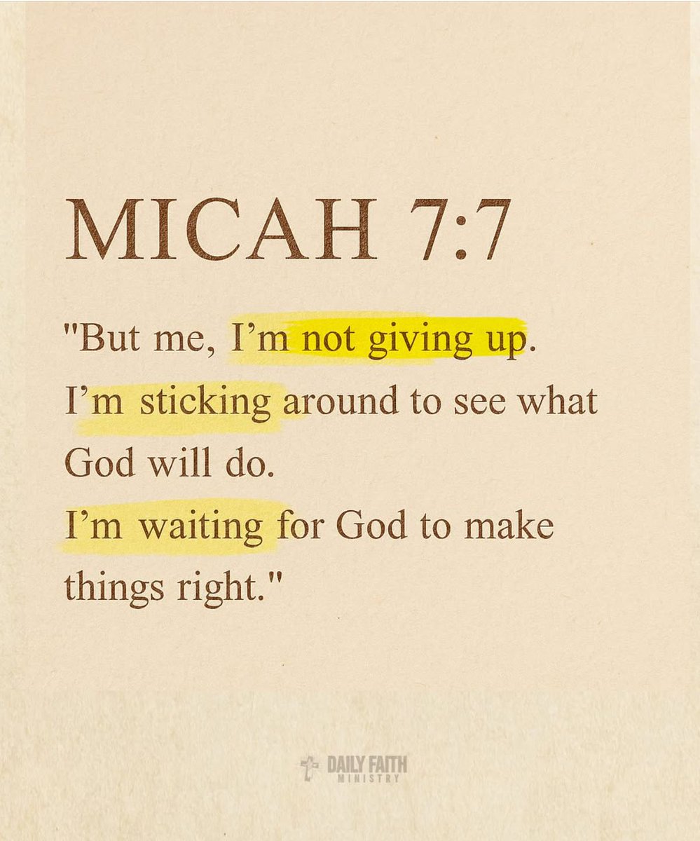 Bible 365 tweet media