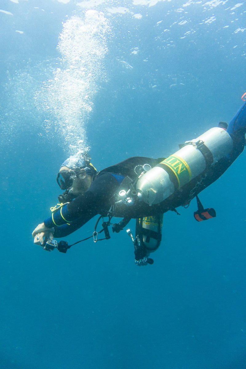 blackturtledive's tweet photo. You can enrich your Deep dive experience by combining the PADI Deep diver course with the PADI Enriched Air Nitrox Specialty course. https://t.co/LZU5nsQ4s6 #PADI #Speciality #EnrichedAir #Nitrox #Deep #speciality https://t.co/RUjoQTFrYo