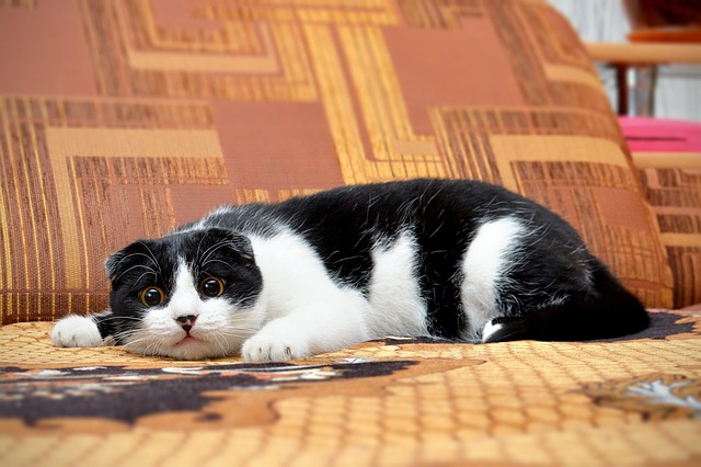 Wayne Burris tweet media