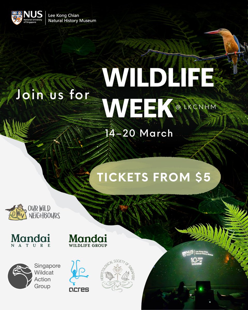 Lee Kong Chian Natural History Museum tweet media