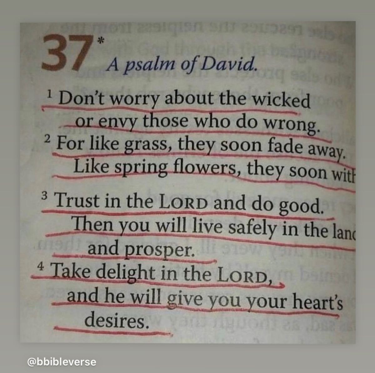 Bible 365 tweet media