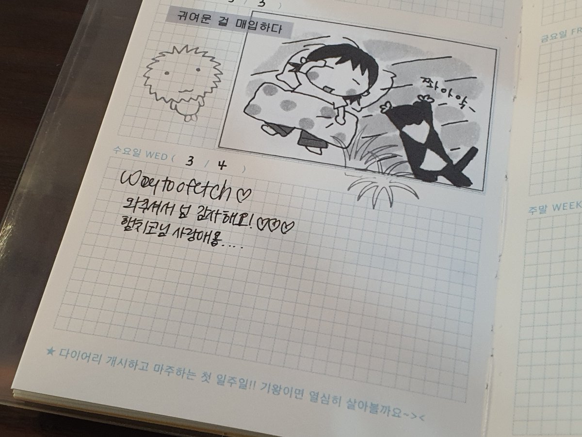 치코 ‧₊˚ ⋅ ♡ tweet media