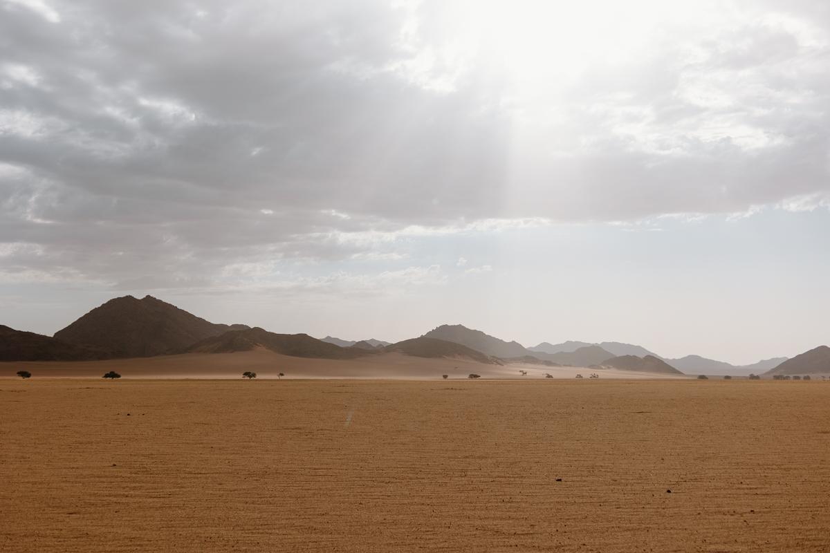 N/a'an ku sê Group of Companies tweet media