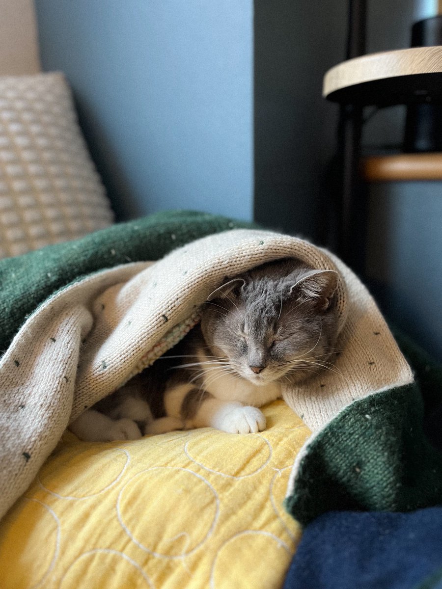 さっちゃん (@toshiakisan1127) / Posts / X