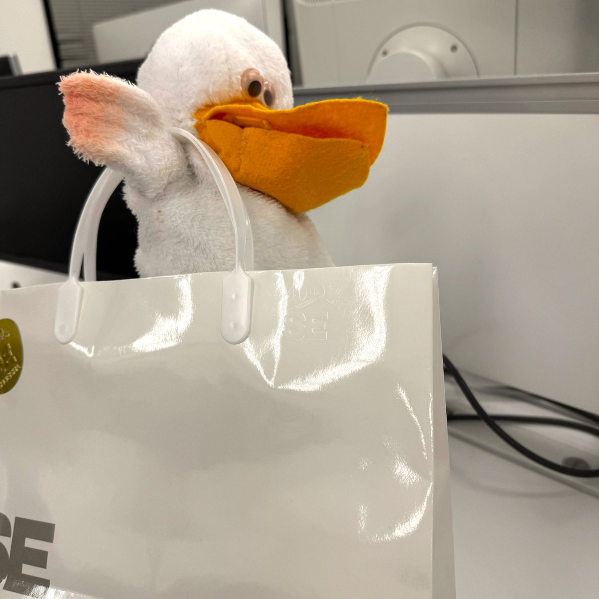 shoperi_tobi's tweet photo. 今日は #差し入れの日 みたいペリ。今日発売の『3コ��でわかる ビジネスマナー』を読んでたら、差し入れを渡してるページがあったペリから練習してみたペリ～！イラストが多くてわかりやすいペリ✨️

でも、トビーに「載ってるのは差し入れというより手土産だと思うよ」って言われたペリよ……🥺 https://t.co/piCwkRFqnh
