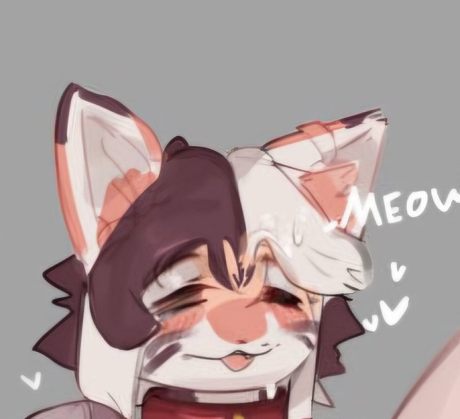 Jɪɴx ᴛʜᴇ CAT🔞 tweet media