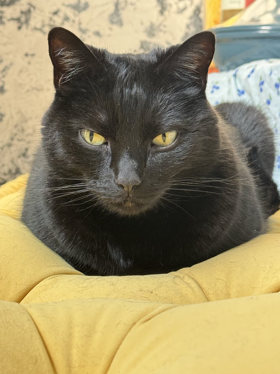 I would say “Good Morning” but I’m not sure that I would mean it…