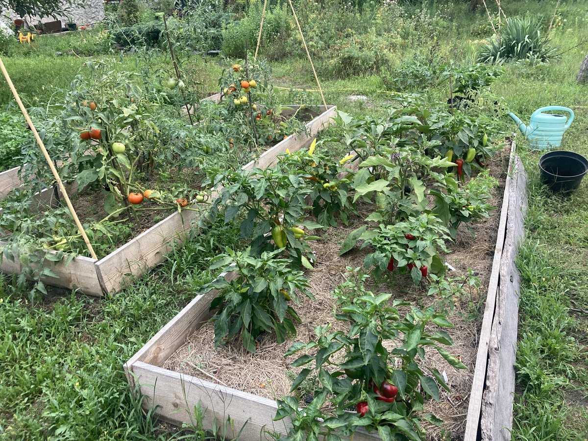 друже не дуже tweet media