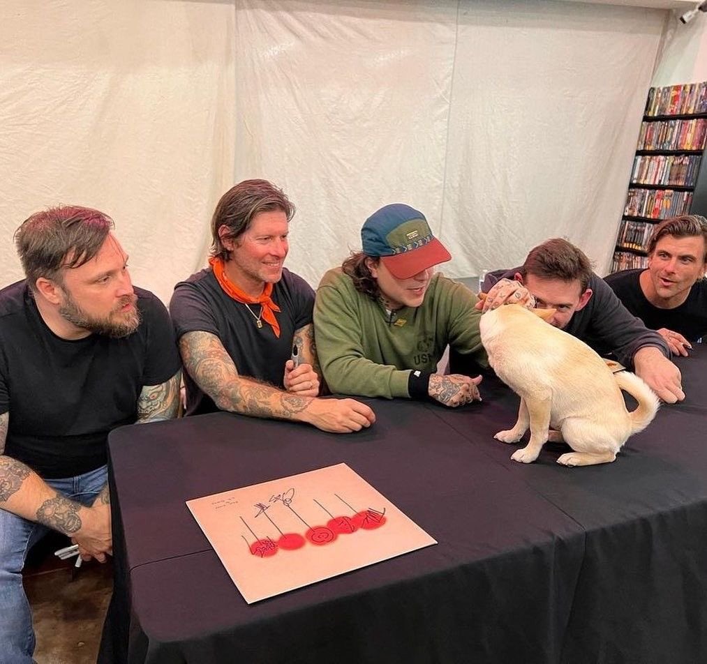 Frank with fat dog daily (@frankfatdog) on Twitter photo 