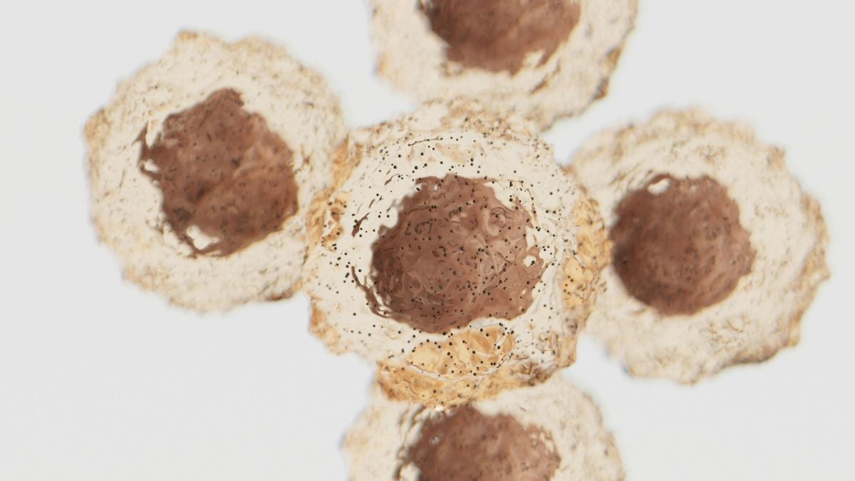 🙏 #Cancer : des chercheurs ont transformé une bactérie en arme rongeant les tumeurs cancéreuses de l'intérieur

ow.ly/CGn550YoRmS