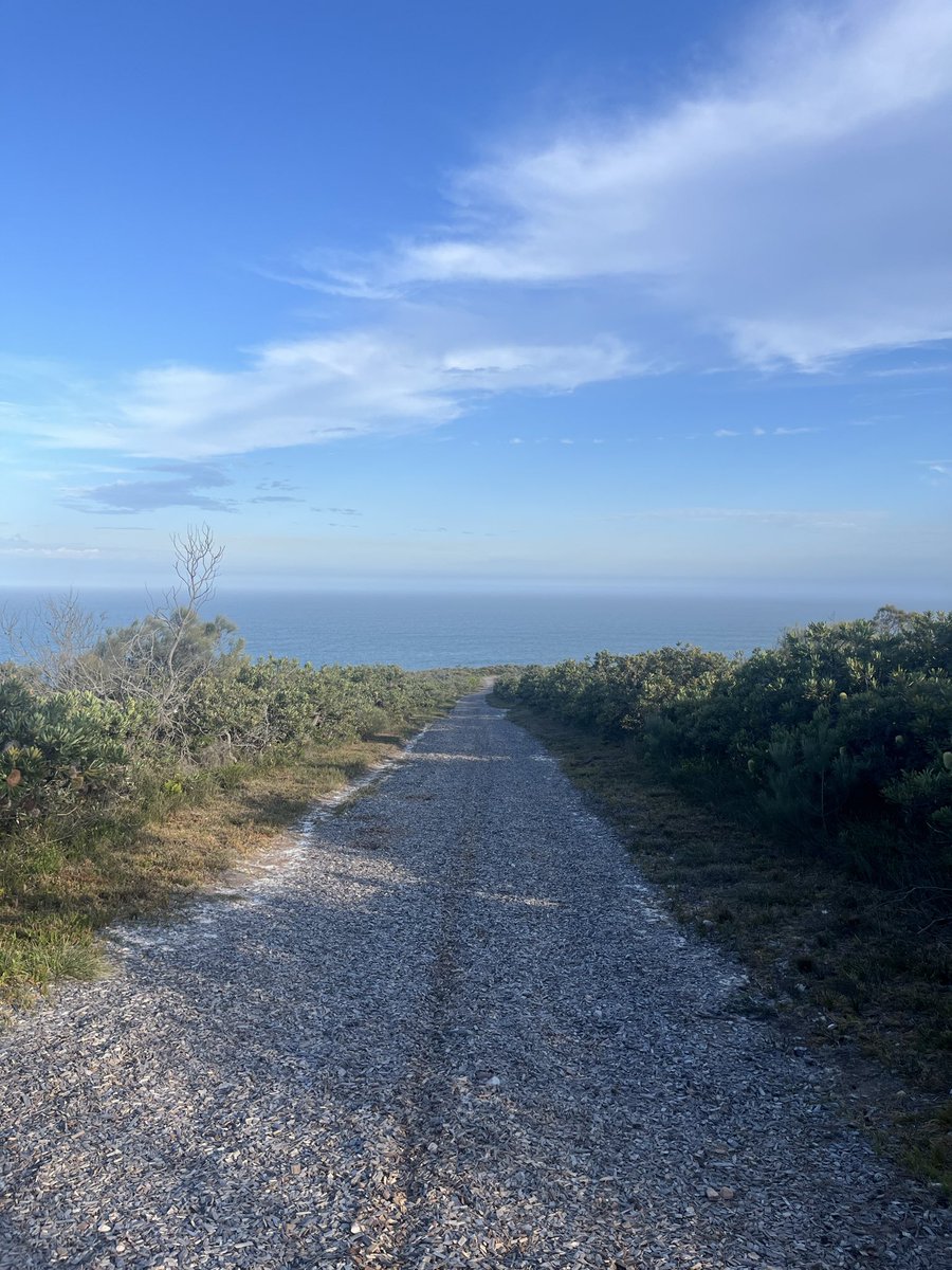 harryaskprice's tweet photo. Gateway to the sea. https://t.co/ze6Nc4xRka