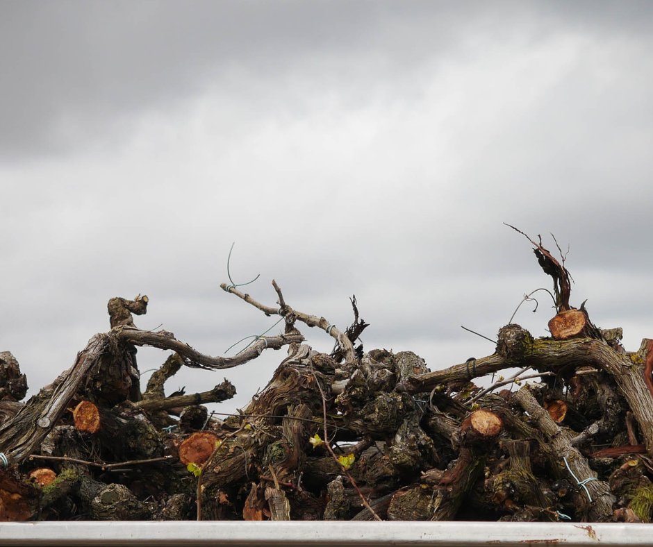 Ribera Del Duero tweet media