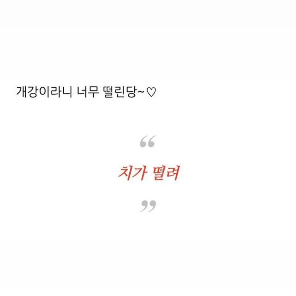 드립짤모음 tweet media