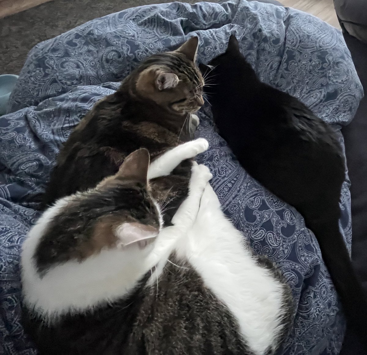 V0IGHT | Lea tweet media