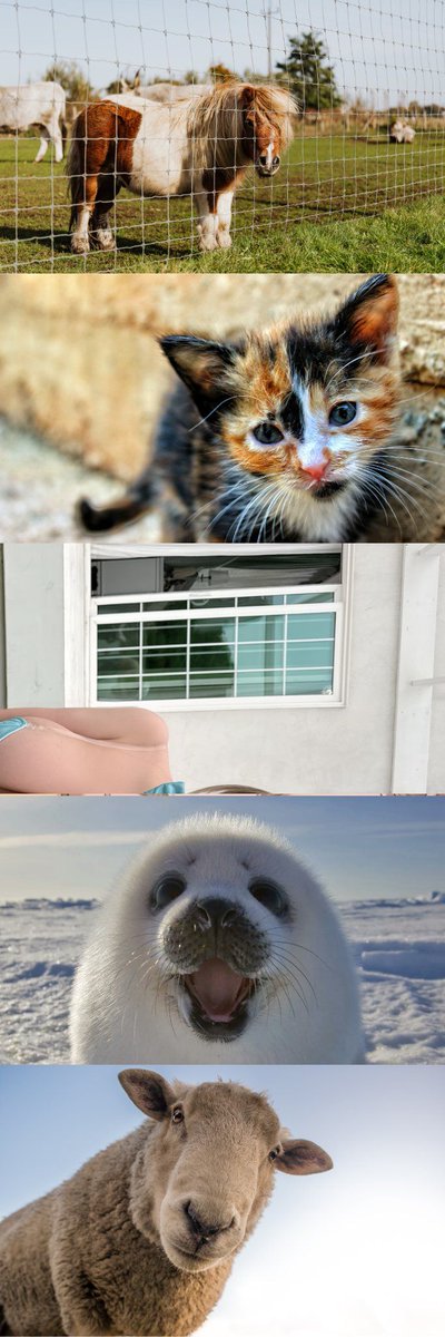 ららたん tweet media