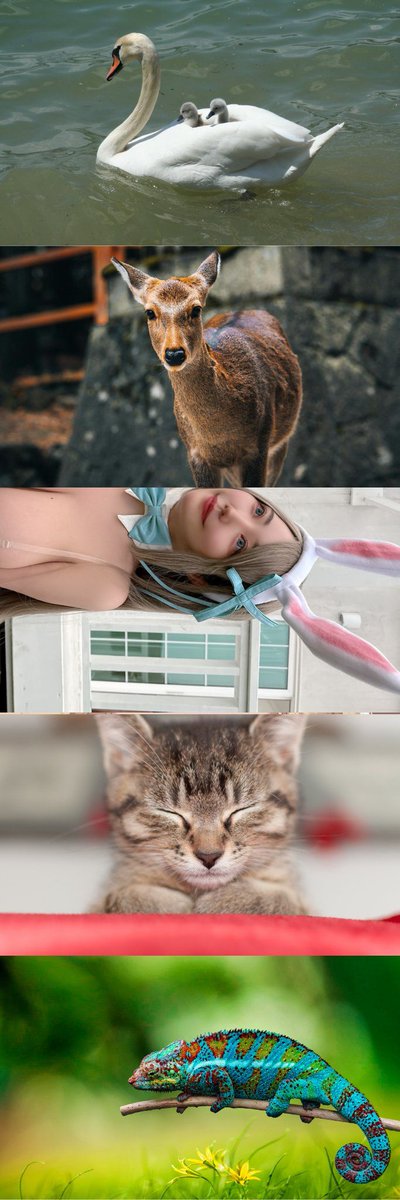 ららたん tweet media