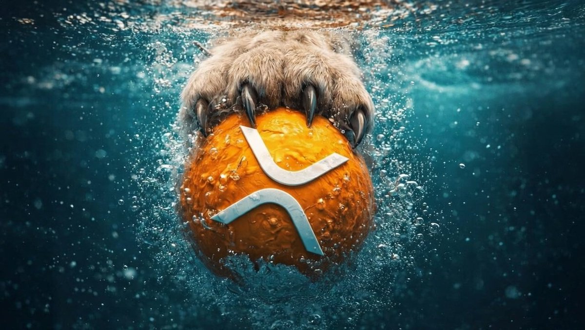 strivex_'s tweet photo. 📈#XRP is entering a decisive phase driven more by escalating global macro pressures than by its own fundamentals and analyst suggest to brace for intensified price swings as the market determines whether capital is exiting or strategically rotating.

Keeping up with market changes is more crucial than ever.
 
Enter DEX Pro – built on the #XRP Ledger, it puts real-time data, analytics, and other features into a single easy-to-use platform.

DEX Pro: https://t.co/HDjCdi93Yr
 
Everything you need for trading is all in one convenient place.