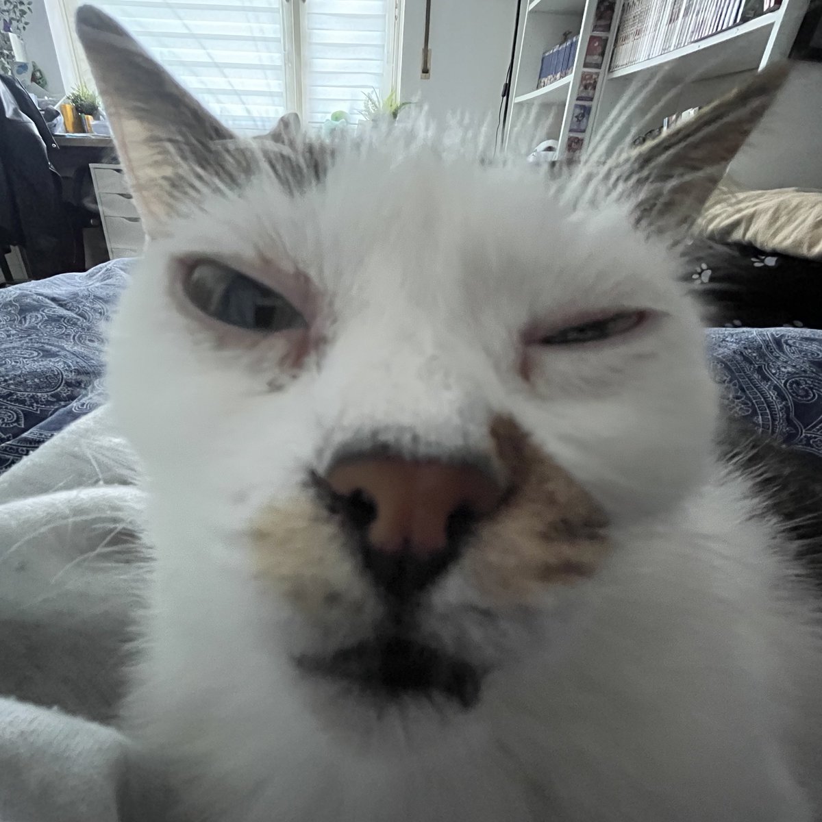 V0IGHT | Lea tweet media