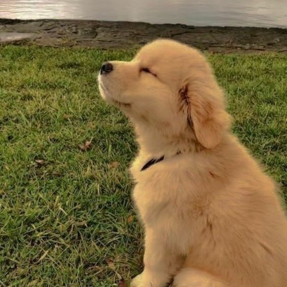 Kei 🔆💫🌟 tweet media