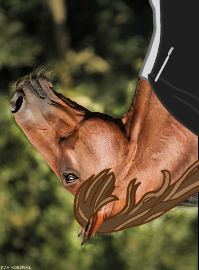 Matchev🚦 tweet media