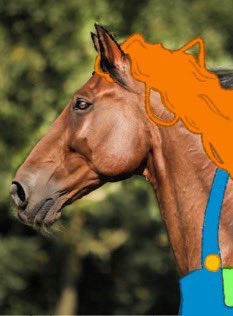 Matchev🚦 tweet media