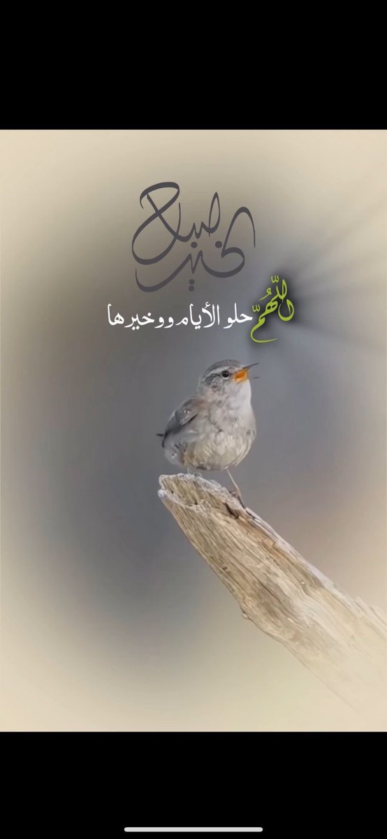 #صباح_الاشياء_المشرقه