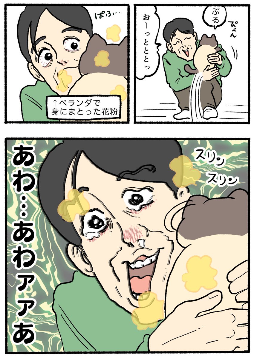 ねこに転生したおじさん。906