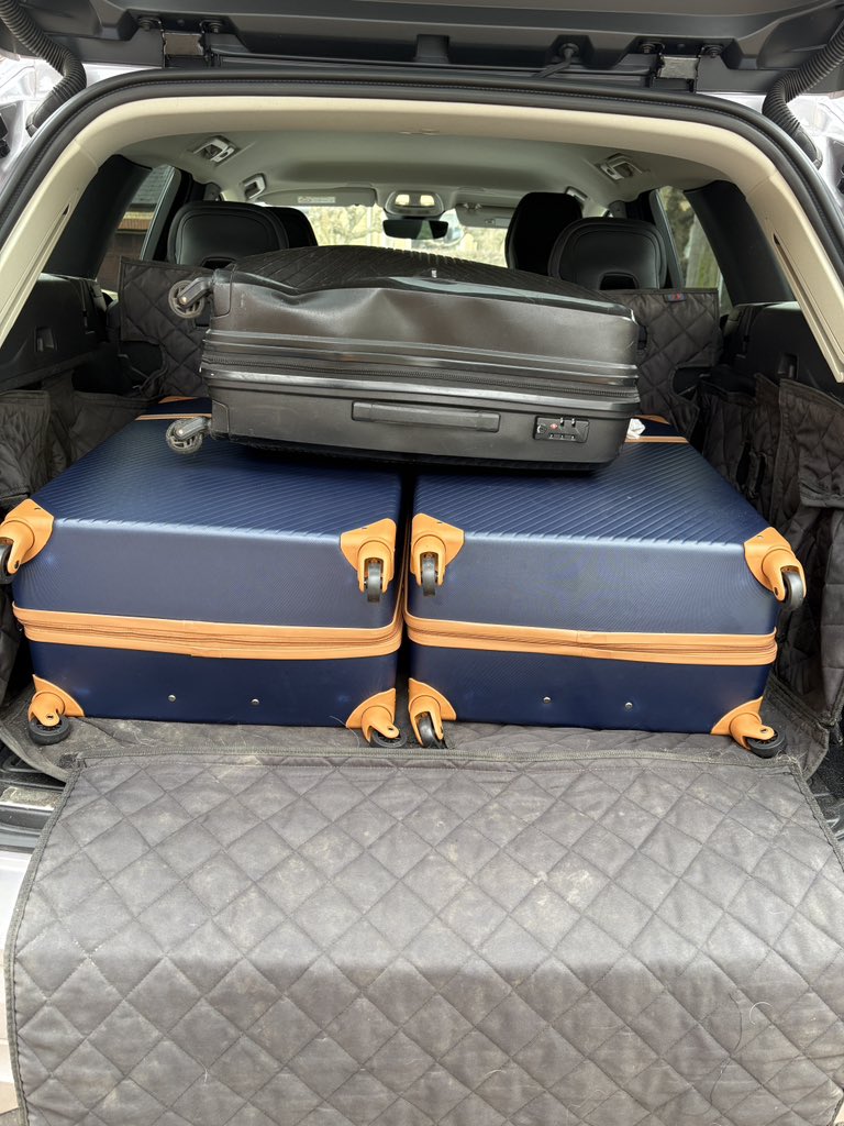 Ｒｈｙｓ Ｙｏｕｎｇ tweet media
