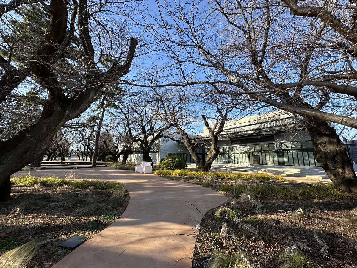 TACHIHI【公式】 tweet media