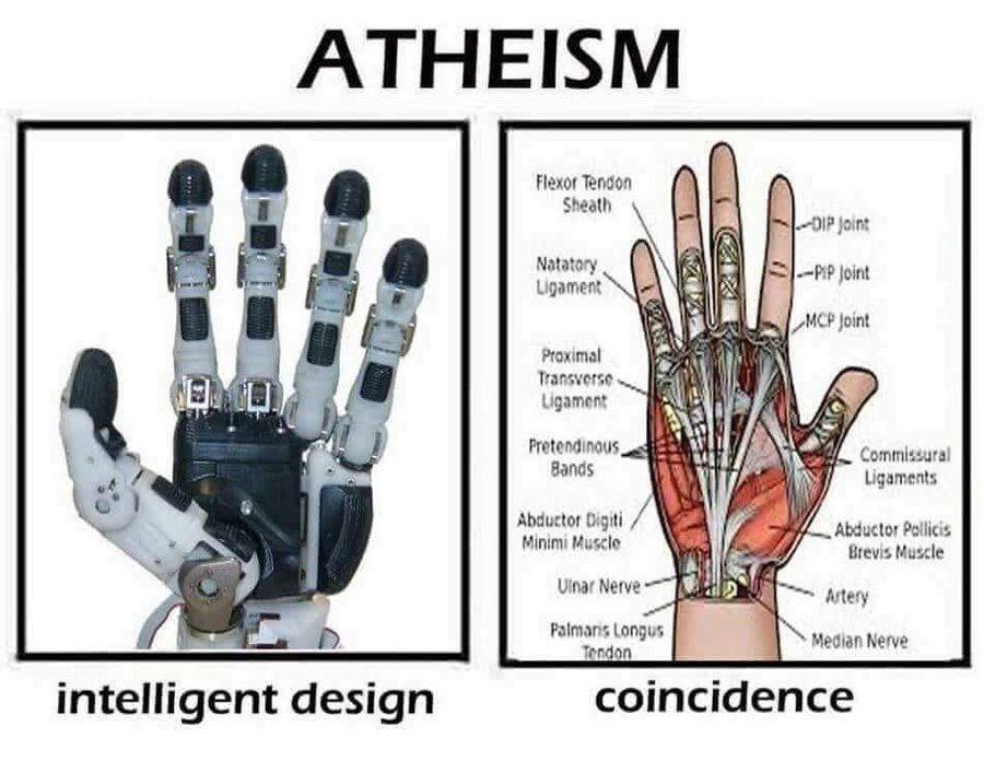 Dr. Sam Gipp (@samgipp) on Twitter photo 