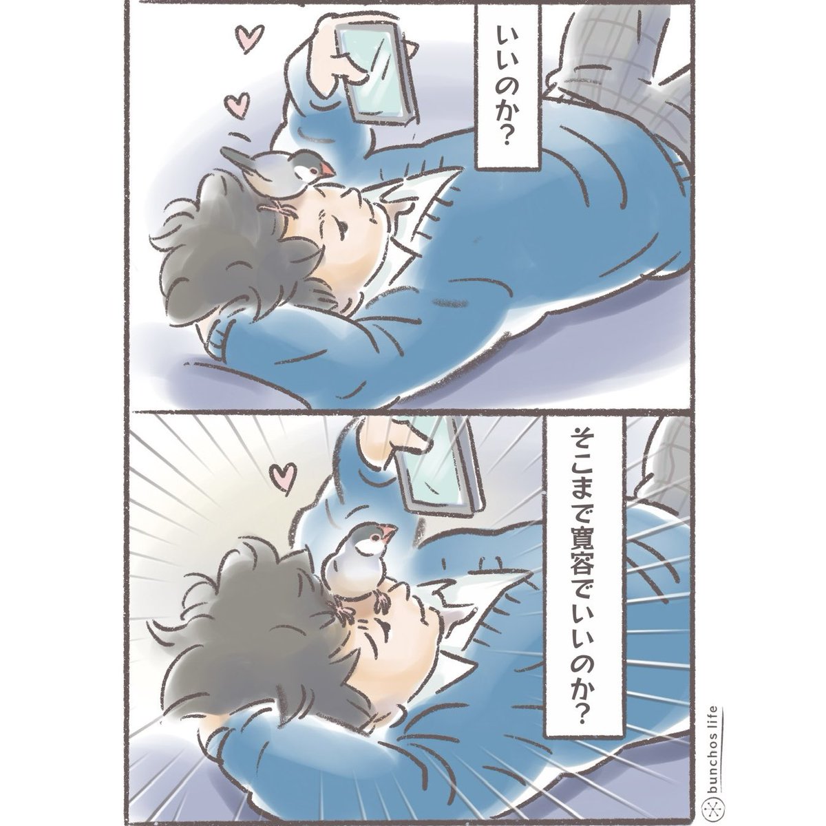 こむぎ🕊️ (@komugi_chan55) / Highlights / X