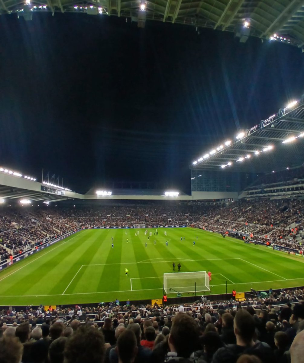 Magpie 24/7 tweet media