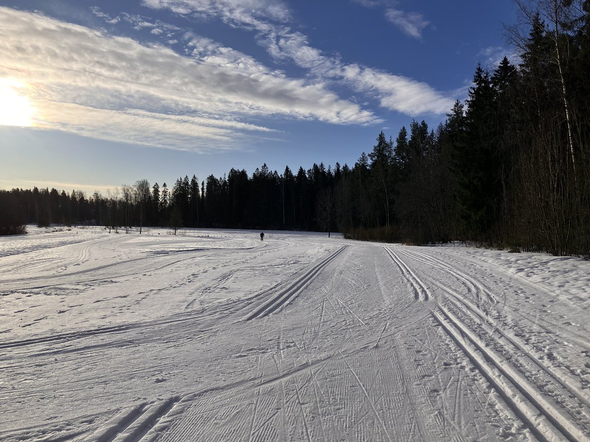 tjeldnet's tweet photo. Yöllä pakkasta, aamulla aurinkoa, hieno aamulenkkikeli. #IlolanLadut varsin jäiset, kun illalla satoi vettä. Tasurikeli kivisuksilla. #hiihto #Vantaa #Ilola https://t.co/obIf5VZQpo