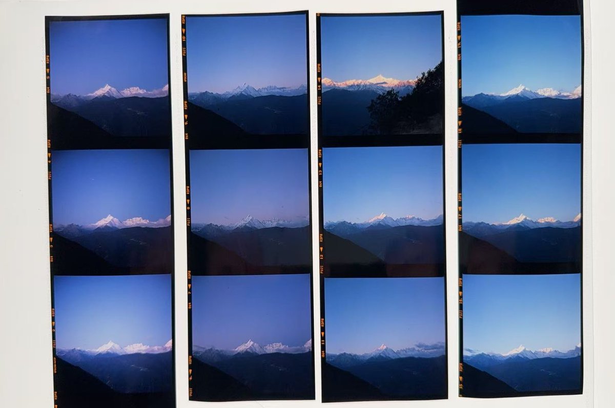 みぞれのオーボエ tweet media