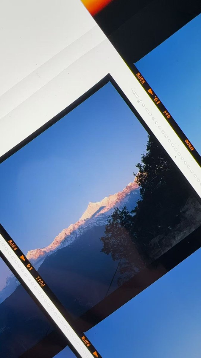 みぞれのオーボエ tweet media