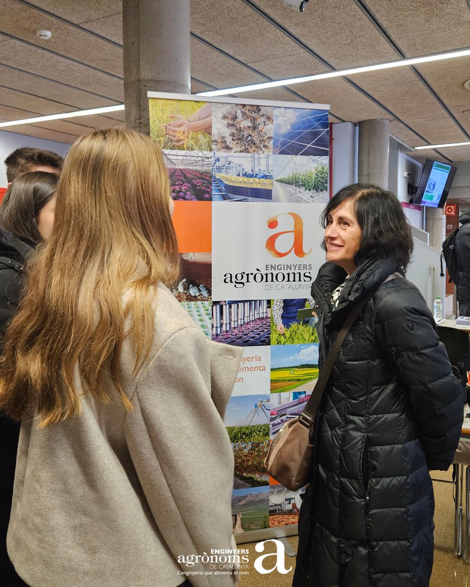 Eng_Agronoms's tweet photo. Enguany, el Col·legi d' @Eng_Agronoms de Catalunya ha tornat a participar en la Fira UdL Treball! 🚀 🎓

Vam poder rebre a tots aquells/es estudiants que tenien dubtes respecte a la professió d’enginyer/a agrònoma i els avantatges i serveis de ser col·legiat/da del COEAC. 🗣️ ✅ https://t.co/UK6C7FIrlc