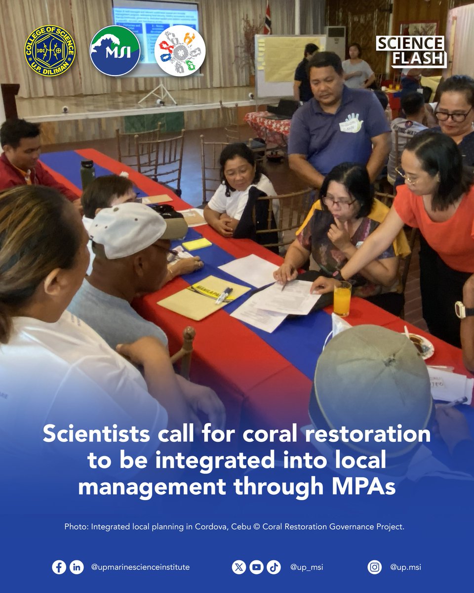 UP Marine Science Institute tweet media