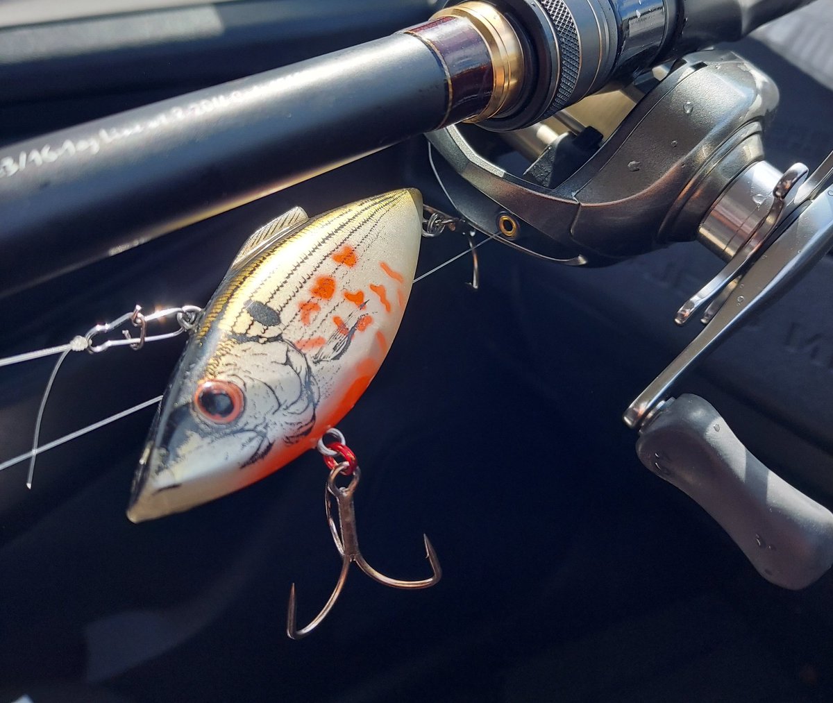 ラトルトラップ シャッドラップ で釣れんかったら、しゃ～ない。今年の