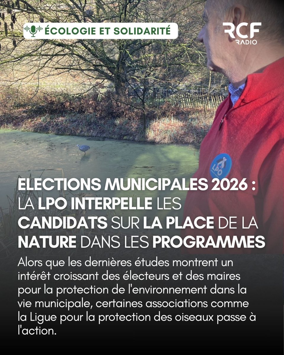 RCF_NORD's tweet photo. Et vous, quelle place souhaitez-vous pour la nature dans votre commune en 2026 ? 
https://t.co/i79CoCDTCc https://t.co/2CrXsuT2ge